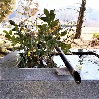 高司神社〜むすびの神の鎮まる社〜の手水舎