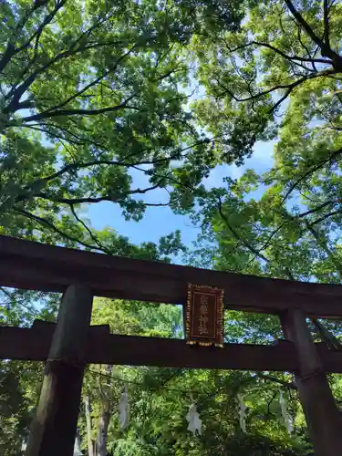 武蔵一宮氷川神社(埼玉県)