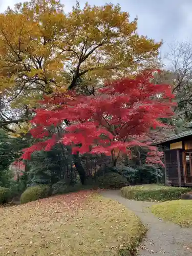 明治神宮の庭園
