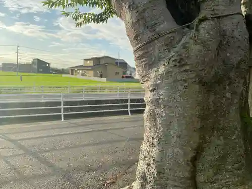 賽の大神(岡山県)