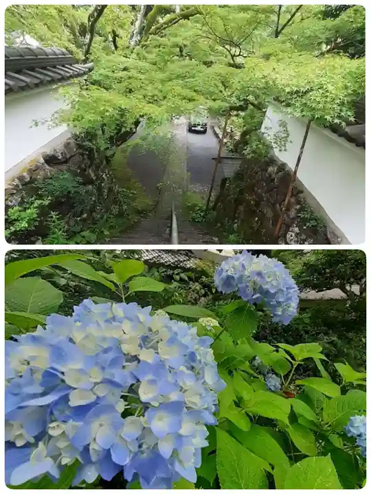 神藏寺(京都府)