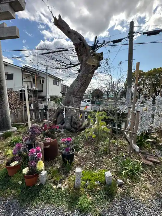 水堂須佐男神社(兵庫県)