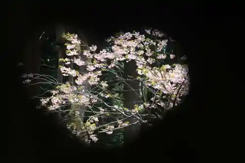 磐椅神社の自然