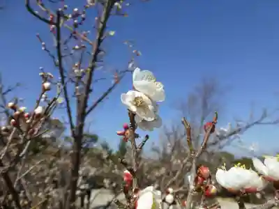 御館山稲荷神社(長崎県)