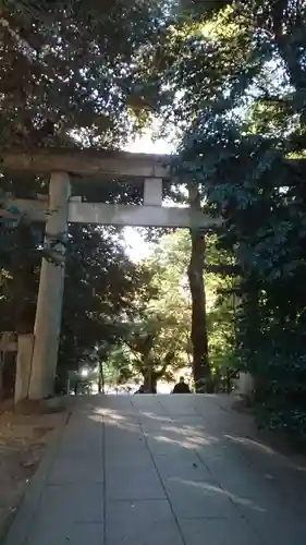 渋谷氷川神社の鳥居