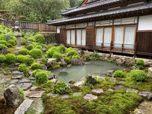 金剛寺の庭園