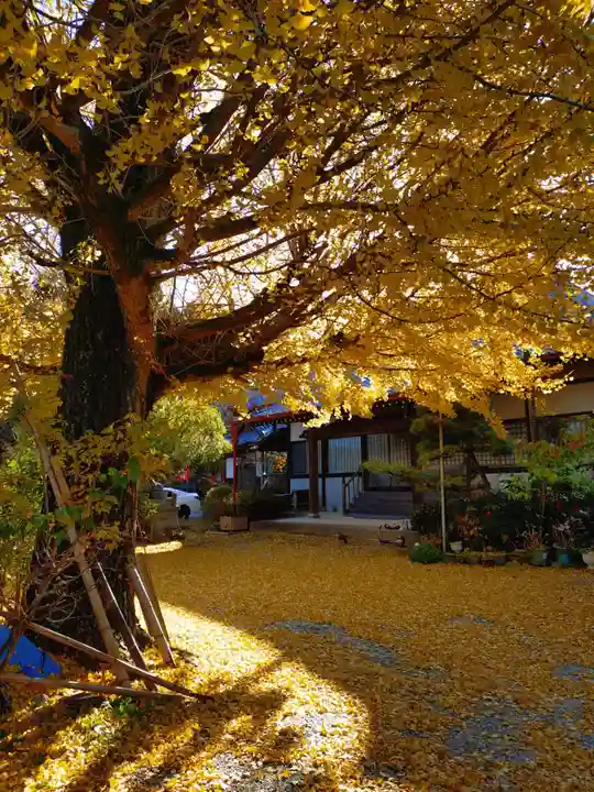 徳翁院(愛知県)