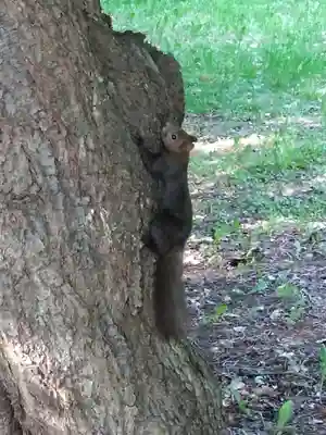 錦山天満宮(北海道)