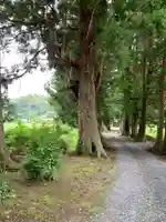 戸隠神社の自然