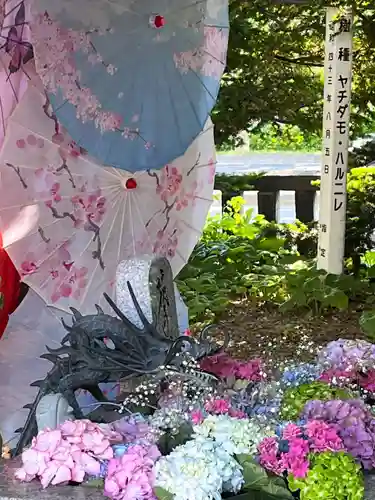 札幌諏訪神社の手水