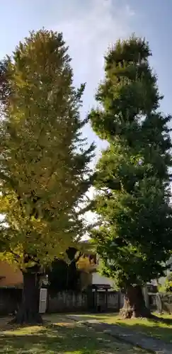 五北天祖神社の自然