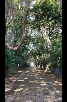 酒列磯前神社の{uncategorized: "未分類", other: "その他", undefined: "問題あり", building: "その他建物", grave: "お墓", sacred_gate: "鳥居", guardian: "狛犬", statue: "像", buddha: "仏像", history: "歴史", nature: "自然", garden: "庭園", animal: "動物", pagoda: "塔", temizu: "手水舎", mountain_gate: "山門・神門", sanctuary: "本殿・本堂", subordinate: "末社・摂社", art: "芸術", scenery: "景色", jizo: "地蔵", ema: "絵馬", goshuin: "御朱印", omikuji: "おみくじ", items: "授与品その他", amulet: "お守り", goshuincho: "御朱印帳", eats: "食事", festival: "お祭り", votive_dance: "神楽", shichigosan: "七五三参", wedding: "結婚式", experience: "体験その他", initially: "初詣", around: "周辺", anti_infection: "感染症対策"}