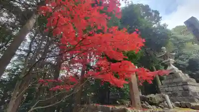 三島神社(樋口)(愛媛県)