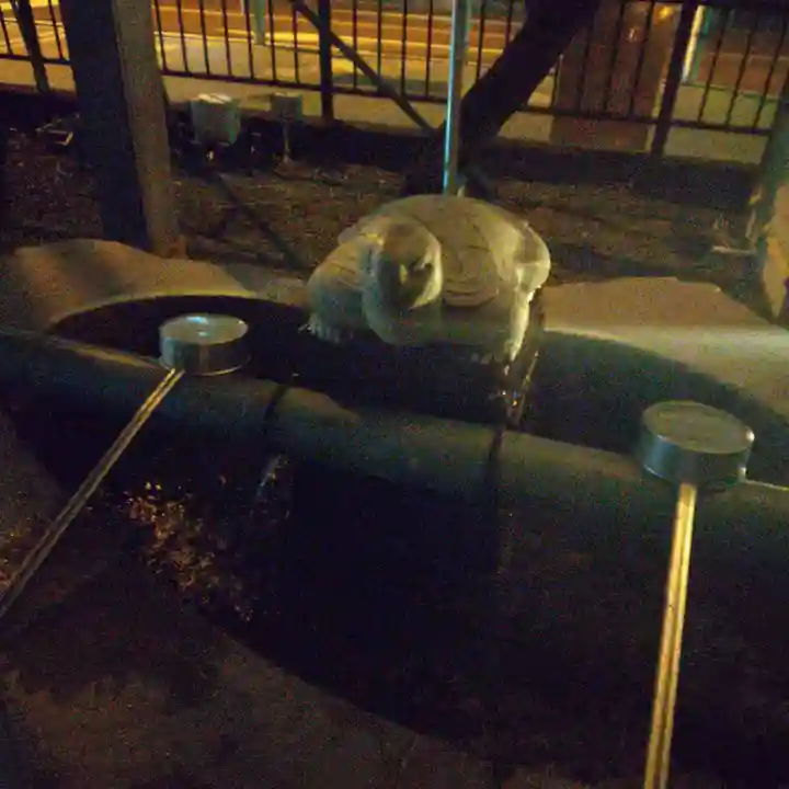 白旗神社(神奈川県)