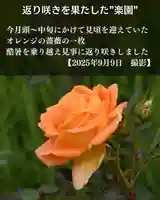 宝光寺(北海道)