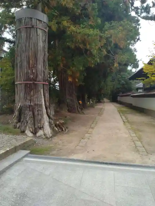 医王寺(福島県)