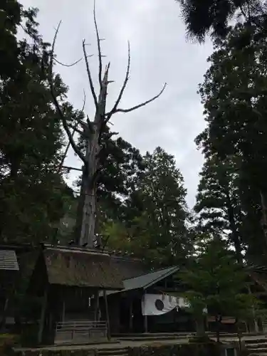 元伊勢内宮 皇大神社(京都府)