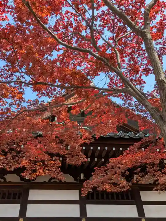 愛染院(東京都)