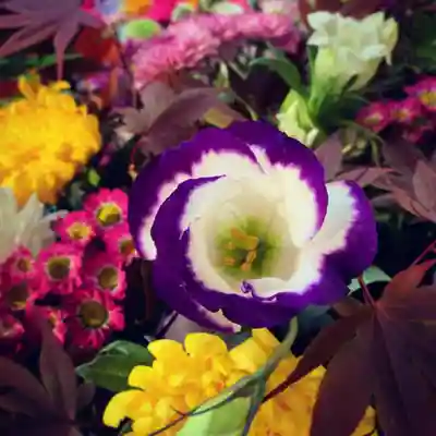 滑川神社 - 仕事と子どもの守り神の手水舎