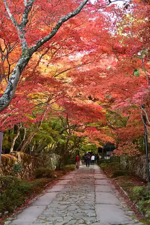金剛輪寺(滋賀県)