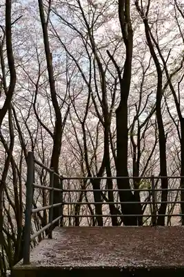 熊野神社(愛媛県)