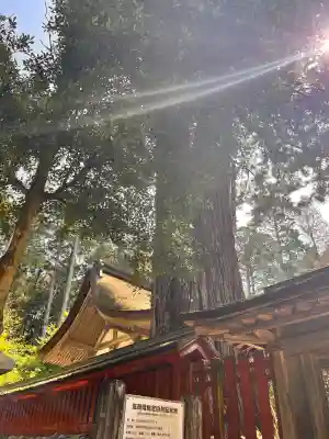 油日神社の{uncategorized: "未分類", other: "その他", undefined: "問題あり", building: "その他建物", grave: "お墓", sacred_gate: "鳥居", guardian: "狛犬", statue: "像", buddha: "仏像", history: "歴史", nature: "自然", garden: "庭園", animal: "動物", pagoda: "塔", temizu: "手水舎", mountain_gate: "山門・神門", sanctuary: "本殿・本堂", subordinate: "末社・摂社", art: "芸術", scenery: "景色", jizo: "地蔵", ema: "絵馬", goshuin: "御朱印", omikuji: "おみくじ", items: "授与品その他", amulet: "お守り", goshuincho: "御朱印帳", eats: "食事", festival: "お祭り", votive_dance: "神楽", shichigosan: "七五三参", wedding: "結婚式", experience: "体験その他", initially: "初詣", around: "周辺", anti_infection: "感染症対策"}