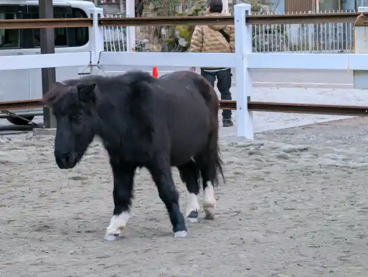 丹生川上神社(下社)の{uncategorized: "未分類", other: "その他", undefined: "問題あり", building: "その他建物", grave: "お墓", sacred_gate: "鳥居", guardian: "狛犬", statue: "像", buddha: "仏像", history: "歴史", nature: "自然", garden: "庭園", animal: "動物", pagoda: "塔", temizu: "手水舎", mountain_gate: "山門・神門", sanctuary: "本殿・本堂", subordinate: "末社・摂社", art: "芸術", scenery: "景色", jizo: "地蔵", ema: "絵馬", goshuin: "御朱印", omikuji: "おみくじ", items: "授与品その他", amulet: "お守り", goshuincho: "御朱印帳", eats: "食事", festival: "お祭り", votive_dance: "神楽", shichigosan: "七五三参", wedding: "結婚式", experience: "体験その他", initially: "初詣", around: "周辺", anti_infection: "感染症対策"}