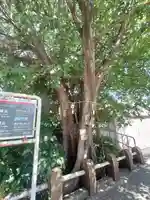 太田姫稲荷神社跡(一口神社)(東京都)