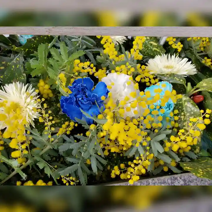 豊景神社(福島県)