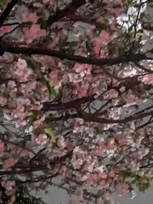 玉眞院玉川大師(東京都)