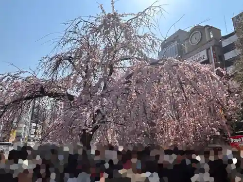 五條天神社の自然