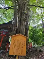 貴船神社(京都府)