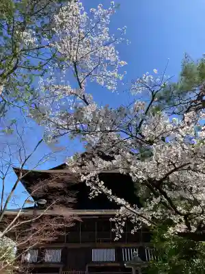 善光寺の{uncategorized: "未分類", other: "その他", undefined: "問題あり", building: "その他建物", grave: "お墓", sacred_gate: "鳥居", guardian: "狛犬", statue: "像", buddha: "仏像", history: "歴史", nature: "自然", garden: "庭園", animal: "動物", pagoda: "塔", temizu: "手水舎", mountain_gate: "山門・神門", sanctuary: "本殿・本堂", subordinate: "末社・摂社", art: "芸術", scenery: "景色", jizo: "地蔵", ema: "絵馬", goshuin: "御朱印", omikuji: "おみくじ", items: "授与品その他", amulet: "お守り", goshuincho: "御朱印帳", eats: "食事", festival: "お祭り", votive_dance: "神楽", shichigosan: "七五三参", wedding: "結婚式", experience: "体験その他", initially: "初詣", around: "周辺", anti_infection: "感染症対策"}