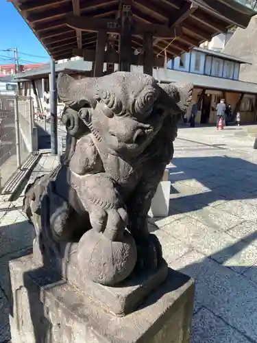 太田杉山神社・横濱水天宮の狛犬