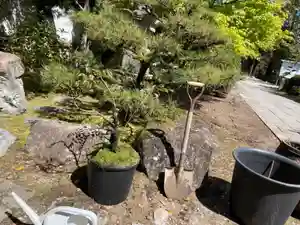 伊勢の国 四天王寺の庭園(2021年04月07日(水) 14時03分57秒投稿)