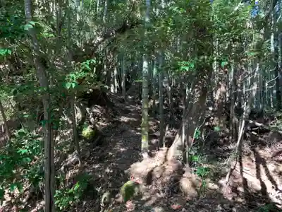 浅間神社の自然