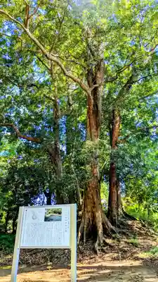 七百餘所神社 の周辺