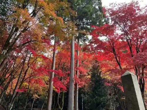 鶏足寺の{uncategorized: "未分類", other: "その他", undefined: "問題あり", building: "その他建物", grave: "お墓", sacred_gate: "鳥居", guardian: "狛犬", statue: "像", buddha: "仏像", history: "歴史", nature: "自然", garden: "庭園", animal: "動物", pagoda: "塔", temizu: "手水舎", mountain_gate: "山門・神門", sanctuary: "本殿・本堂", subordinate: "末社・摂社", art: "芸術", scenery: "景色", jizo: "地蔵", ema: "絵馬", goshuin: "御朱印", omikuji: "おみくじ", items: "授与品その他", amulet: "お守り", goshuincho: "御朱印帳", eats: "食事", festival: "お祭り", votive_dance: "神楽", shichigosan: "七五三参", wedding: "結婚式", experience: "体験その他", initially: "初詣", around: "周辺", anti_infection: "感染症対策"}