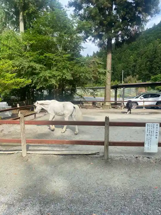丹生川上神社(下社)(奈良県)