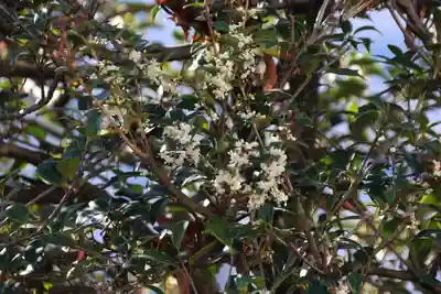 愛宕神社の周辺