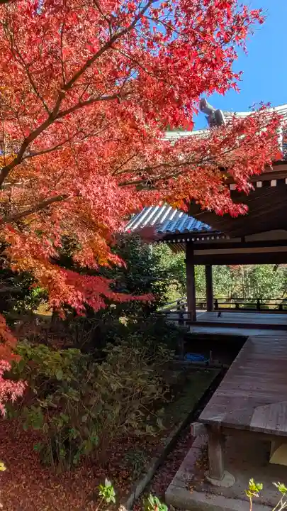 法金剛院(京都府)