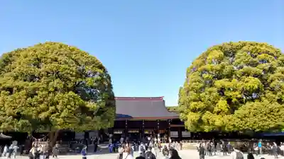 明治神宮(東京都)