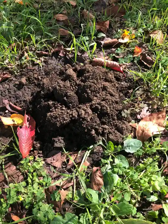 南沢氷川神社のその他建物