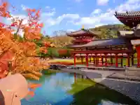 平等院(京都府)