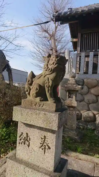 久多神社(東畑)の狛犬