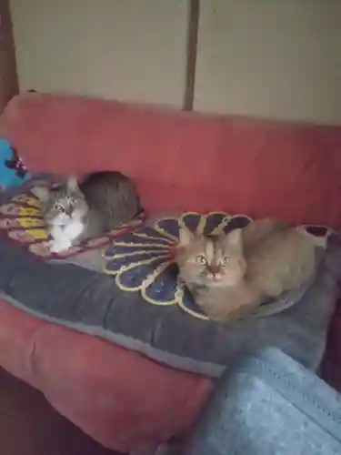 大船観音寺の御朱印