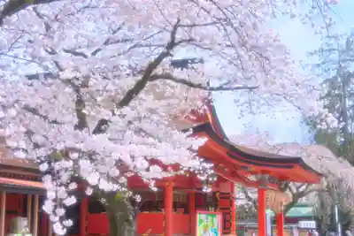 富士山本宮浅間大社(静岡県)