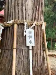 鼬幣稲荷神社(岩手県)