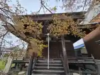 乗蔵院(和歌山県)