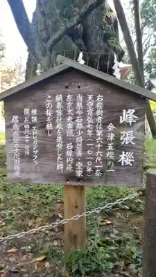 蠶養國神社(福島県)